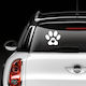 Dog Paw On Board Εξωτερικη Εκτυπωση