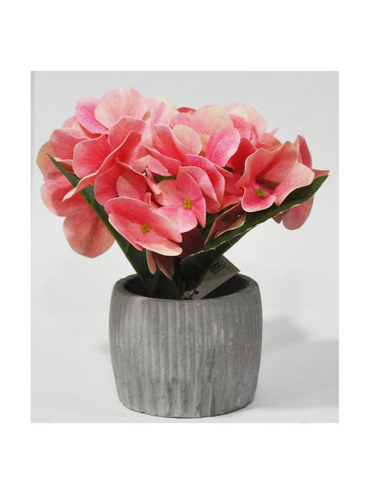 Dekorative Topfpflanze Rosa 20x15x19cm Sidirela E-4664