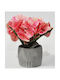 Dekorative Topfpflanze Rosa 20x15x19cm Sidirela E-4664