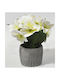 Decorative Plant White Pot 20x15x19cm Sidirela E-4664