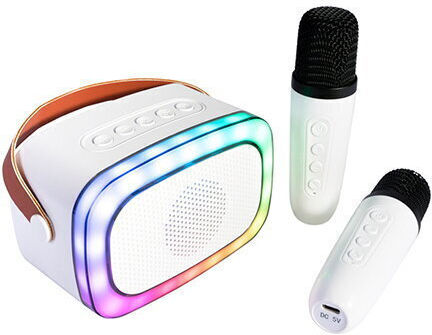 Ηχείο Karaoke με Ασύρματα Μικρόφωνα και Εφέ Φωτισμού KARAKID20 Πολύχρωμο