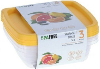 Excellent Houseware Cutii De Prânz Din Plastic Transparente 1lt 3 Bucăți Excellent Houseware Cutii De Prânz Din Plastic Transparente 1lt 3 Bucăți