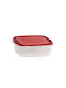Viomes Microwave Plastic Lunch Box Burgundy 20x20cm