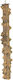 Epigasos Natural Bird Perch Pepper Tree 1.5~2.5*15cm Stainless Supports