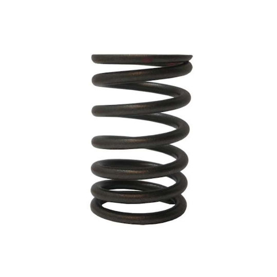 Kawasaki Motorcycle Cylinder Head Valve Spring Kawasaki KAZE R 115