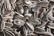 Sunflower Seeds Black And White Large 700gr