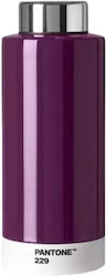 Pantone Θερμός 500ml Μελιτζανί