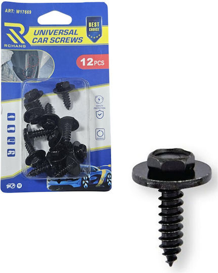 Rchang Βίδες Αυτοκινήτου Universal W17669 – Σετ 12 Τεμαχίων Car Screws