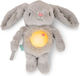 Ingenuity Baby Toy made of Fabric with Music and Light