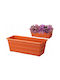 Galicja Γλάστρα Terracotta 40εκ.