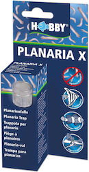 Hobby Planaria X