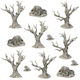 Terrain Crate Fantasy Forest