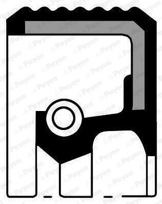 Öldichtung Für Nockenwellengenerator 36x50x7 Citroen C2-c3-c4 NF817