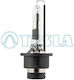 Lamp Tesla Xenon D2R 85 V 35 W 4300 K B22105-356