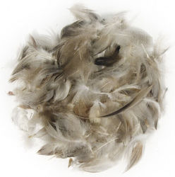 Φτερα Mixture Pepita 7-9 Cm 10gr
