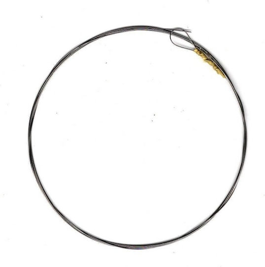 Extra Laouto Classic Μονές Χορδές Μπουζουκιού 2τμχ 12.5" 2τμχ