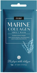 Grigi Stoff Sheet Maske 22ml Grigi Stoff Sheet Maske 22ml