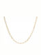 Gold Chain Neck 9K