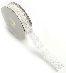 Lace Ribbon Knitted 22mm 10m Lacxxxxx-x22x10 White
