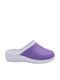 Lilac Clogs Anatomic Insole