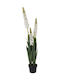 Home Styling Collection Künstliche Löffelblume Topfpflanze 120 cm