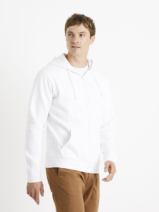 Celio Celio