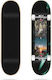 Jart Complete Shortboard 7.75" Multicolour