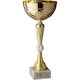 Gold Pokal Schwimmen