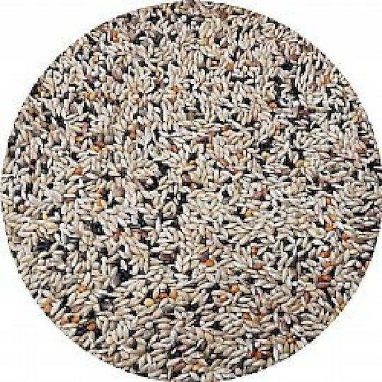 Professional Pro Mix 3.1 Canary Food Type And Color Perilla Without Rouspen 20kg