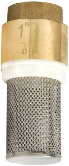 Brass Check Valve Suction Basket 1 Inch