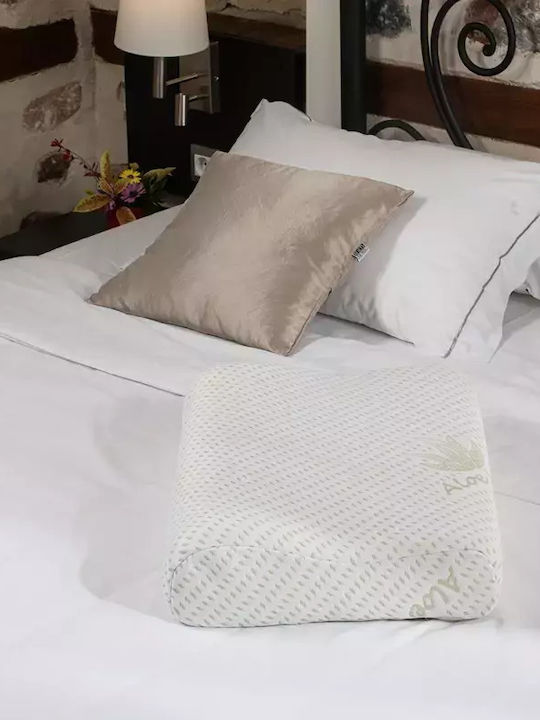 Alpha Foam Elegantes Aloe Vera Kopfkissen Schlaf Memory-Schaum Anatomisch 38x55x12cm