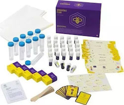 Smartbee Game Experiments