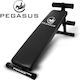 Pegasus Adjustable Workout Bench Abdominal