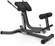 Pegasus Adjustable Workout Bench Dorsal / Abdominal