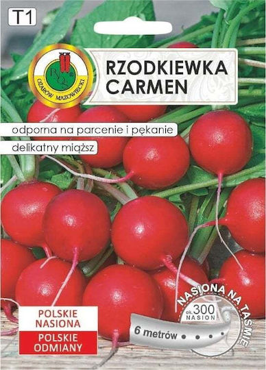 Carmen Radish Polish Variety Year-round Cultivation Seeds