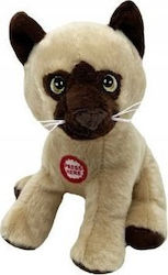 Tulilo Kitten for Newborns 15 cm (Miscellaneous Designs)