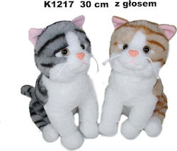 SUN-DAY Kätzchen 30 cm Verschiedene Designs