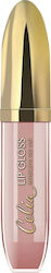 Celia Lip Gloss 8ml