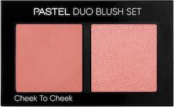Pastel Blushes Pastel Rose
