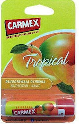 Carmex Lip Balm 4.25gr Carmex Lip Balm 4.25gr
