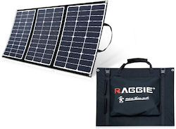 Panel 100W TL-03530