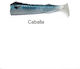 JLC Body Artificial Bait 6cm Caballa