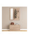 Entry Furniture with Mirror & Hanger Dark Brown 80x27x46.5cm