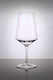 glassFORever Ποτήρι Πισίνας 470ml για κρασί από Tritan Πλαστικό