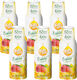 Fruttamax Mango Syrup 500 Ml 6 Pieces