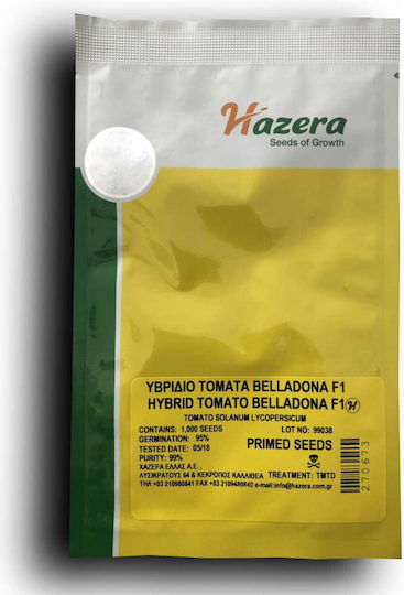 Hazera Semințe Tomateς Belladona 1000buc