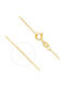 Xryseio Gold Chain Neck 14K