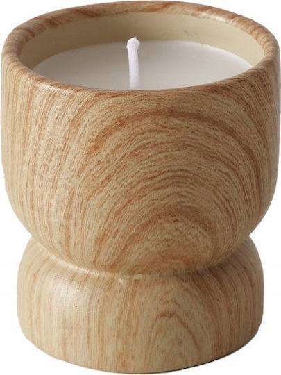 Boltze Decorative Candle in Jar
