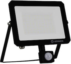 Ledvance Proiector 50W Etanș 6500K