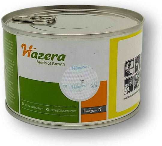 Hazera Σπόροι Κολοκυθιού Ezra 100gr